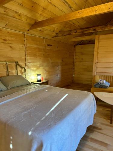 Williamstown Ski Chalet | GGgs Cabin