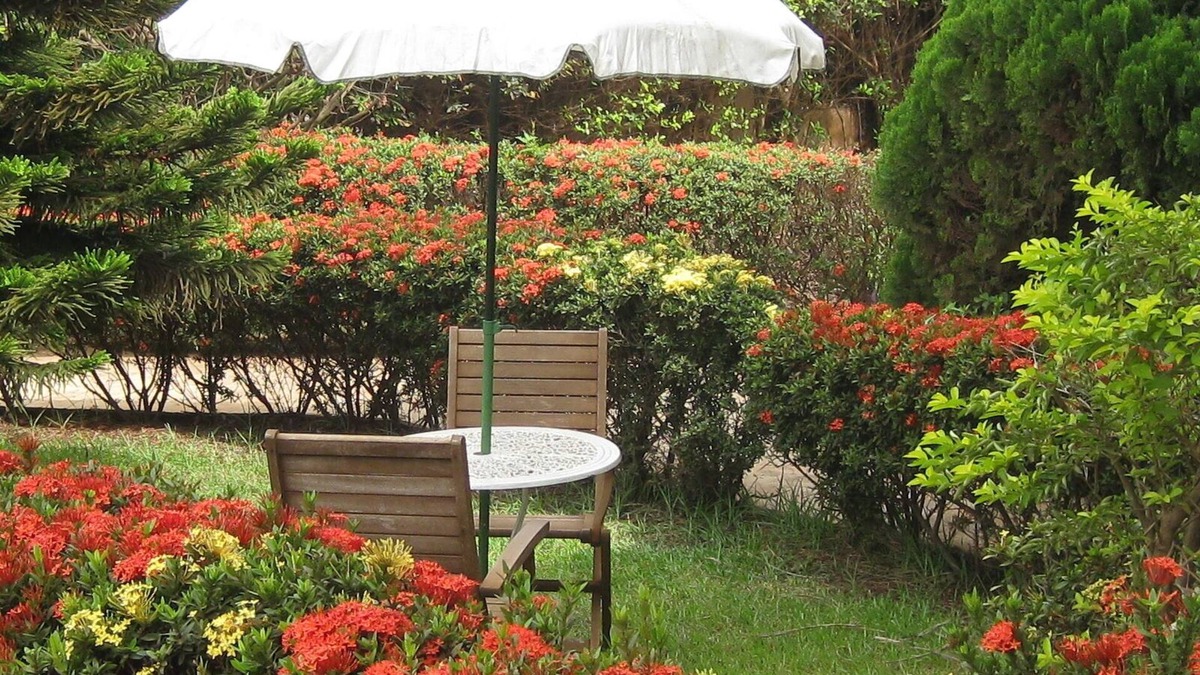 Adenta House | Ghouse room A Ideal For Friends family And Corporate