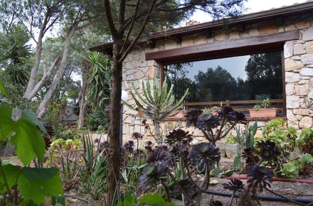 Porto Paglia House | Giardino degli Ulivi