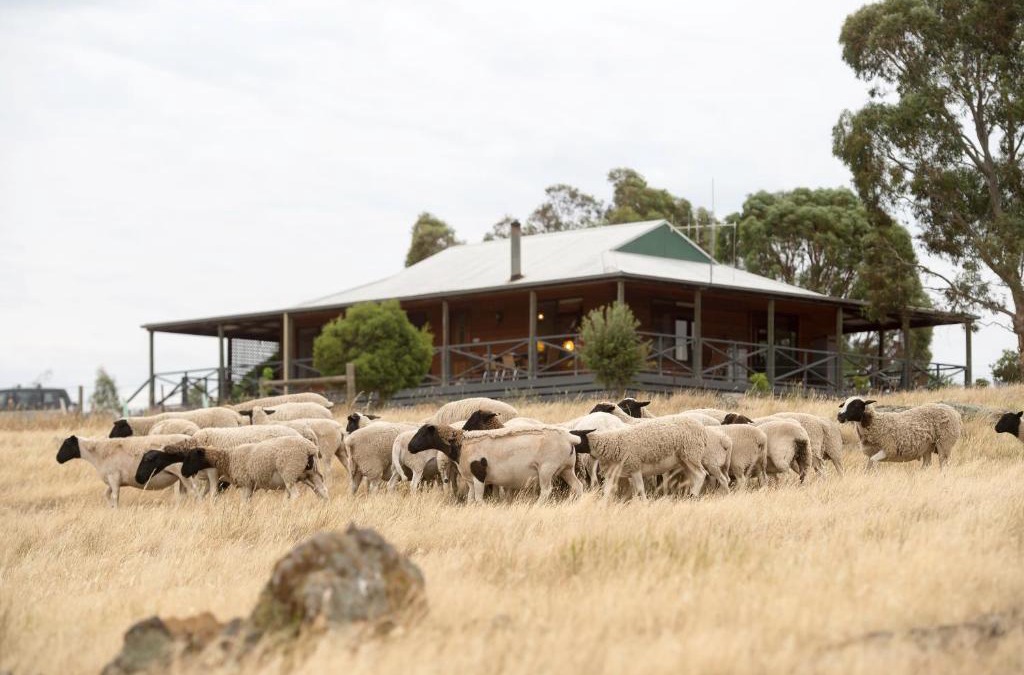 Eppalock House | Gilgraves Vineyard Farmstay