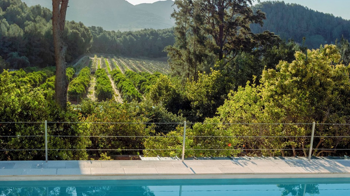 Alzira Villa | Ginkgo House
