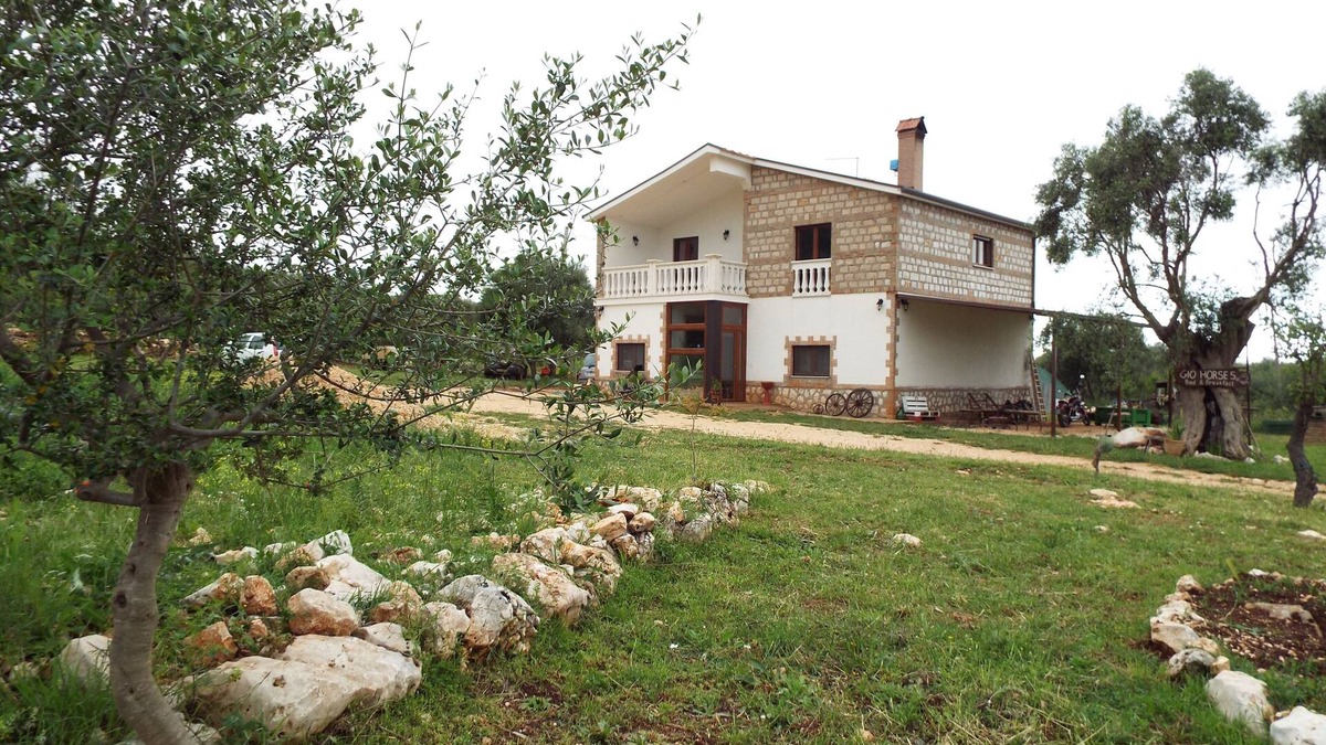 San Nicandro Garganico Bed & Breakfast | Gio Horses GARGANO NATIONAL PARK BETWEEN THE SEA, LAKES OF LESINA AND VARANO.