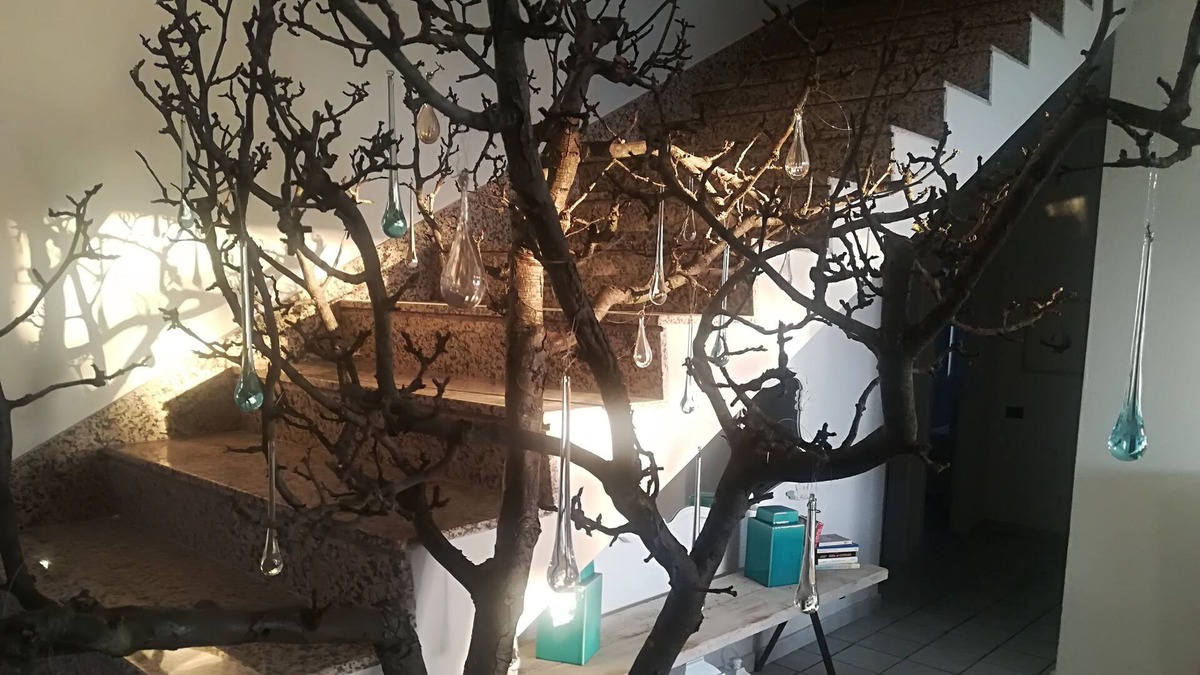 Cetraro Apartment | GIOLU 'seaview home holidays