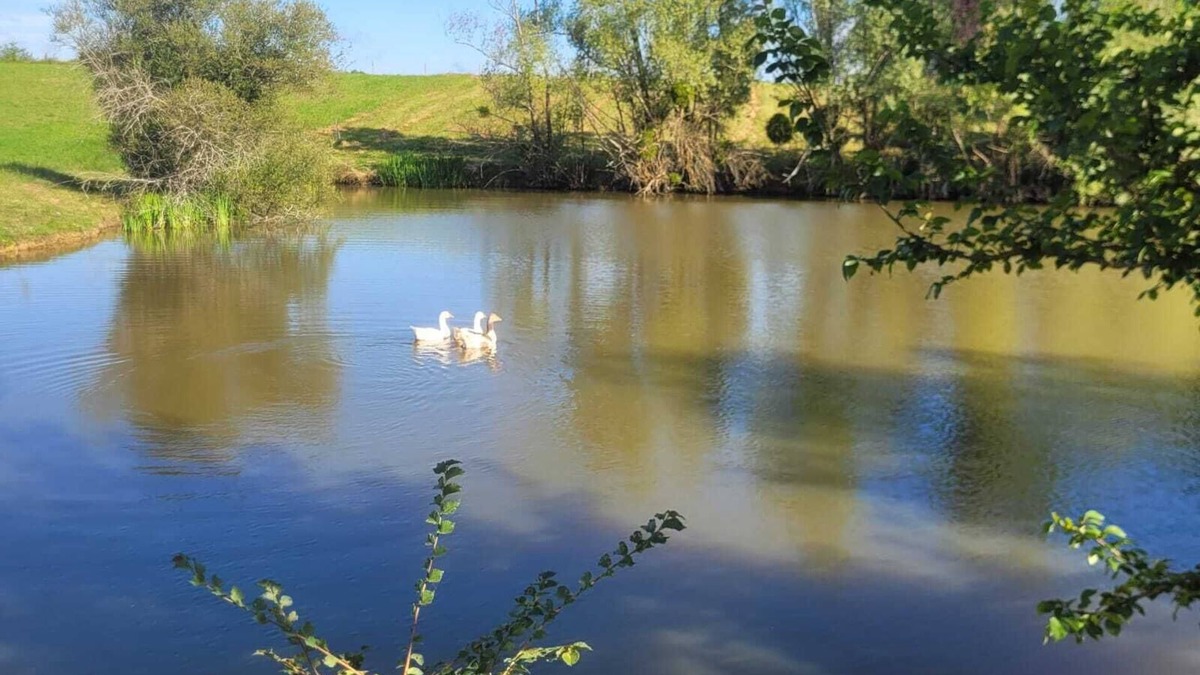 Castelnau-d'Auzan House | Gîte Le Grand Castillon - Fishing in private ponds and forest - Jacuzzi (optional)