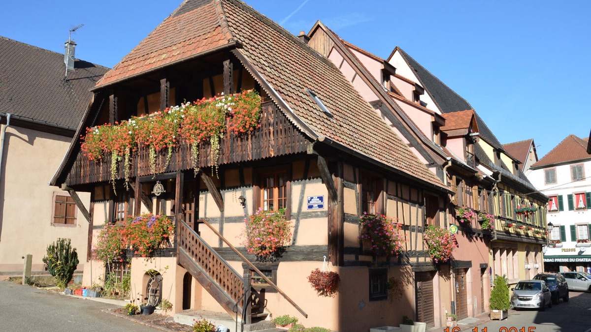 Kaysersberg-Vignoble Apartment | Gite 3 classification in shelter of 65m2 all comfort for 2 to 4 persons