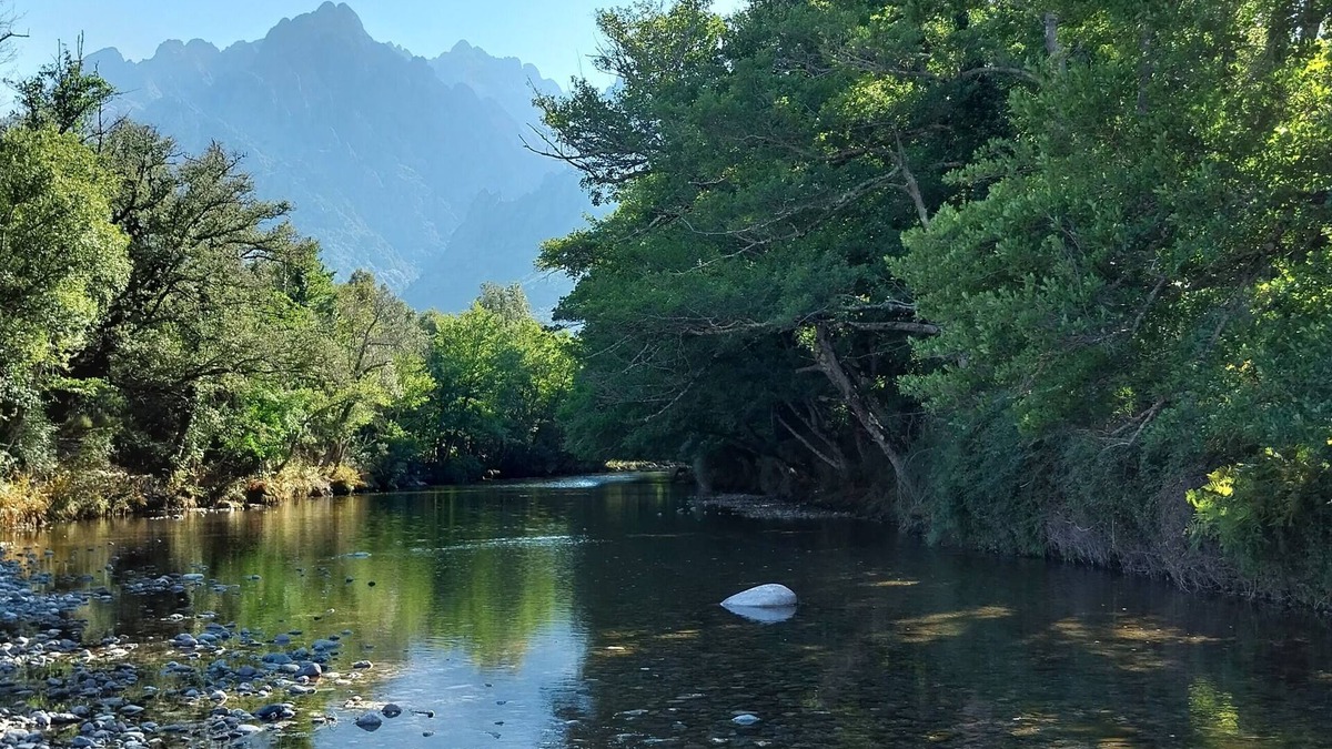 Moltifao Cottage | Gîte 4/5 people in the Asco Valley, very accessible for exploring North Corsica