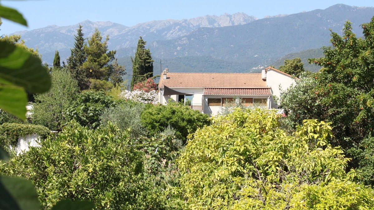 Ghisonaccia House | Gîte A Malba T6 with orchard 10 kms from the sea