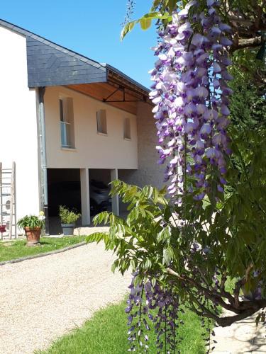 Saint-Genest-d'Ambiere Apartment | Gite Amanala Poitou
