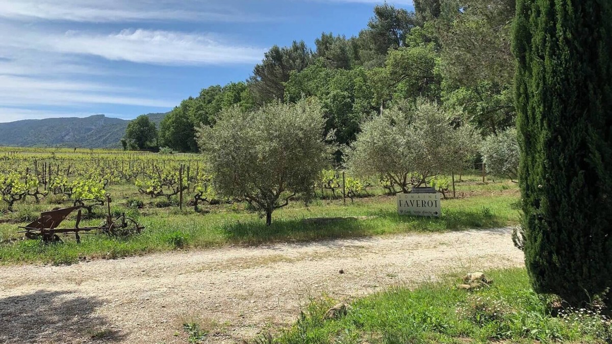 Maubec Apartment | Gîte Amandier - in the Provencal farmhouse of Domaine Faverot