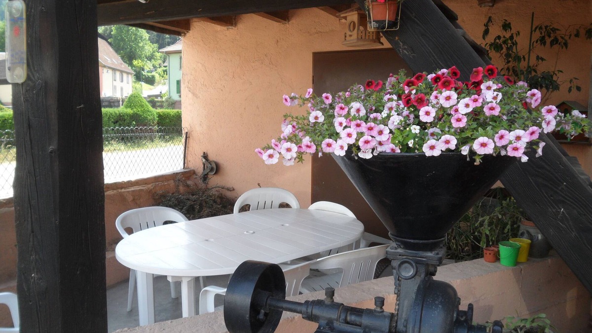 Luttenbach-pres-Munster Apartment | GITE AU JARDIN DE MON ENFANCE 4 persons MUNSTER Valley
