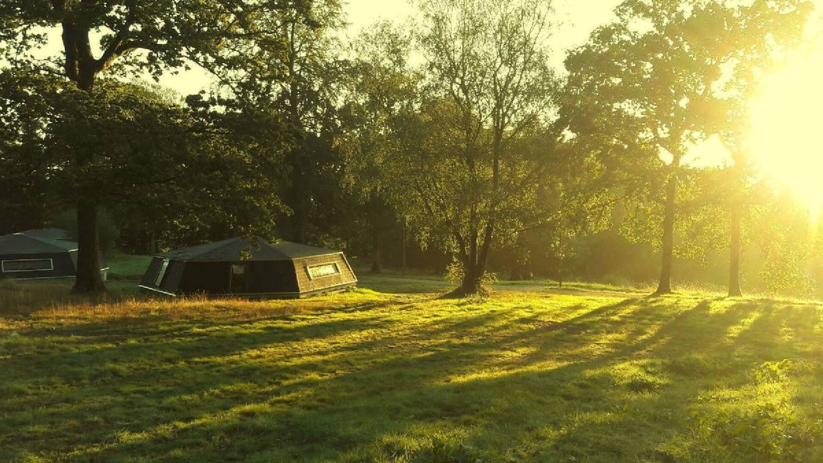 Noues de Sienne Hotel | GITE D'OBSERVATION (4/6 pers) - Stopover in the forest