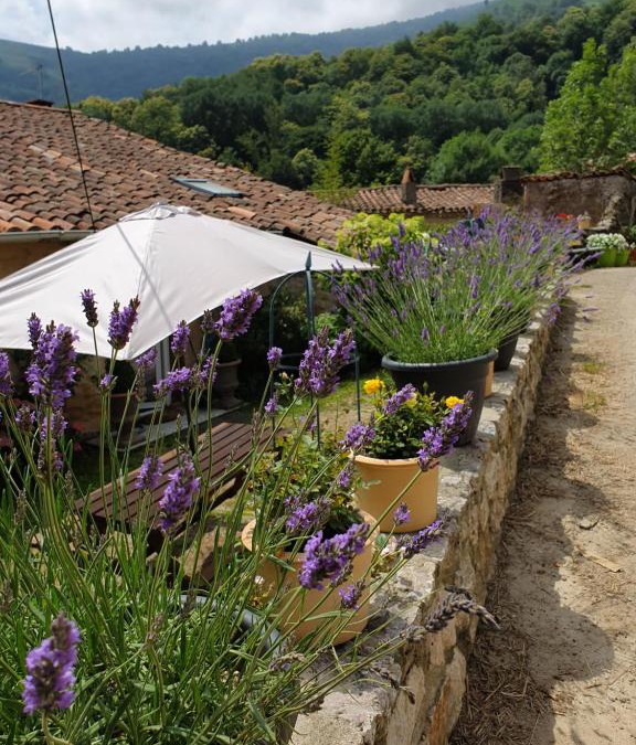 Ganac House | Gite De Charme