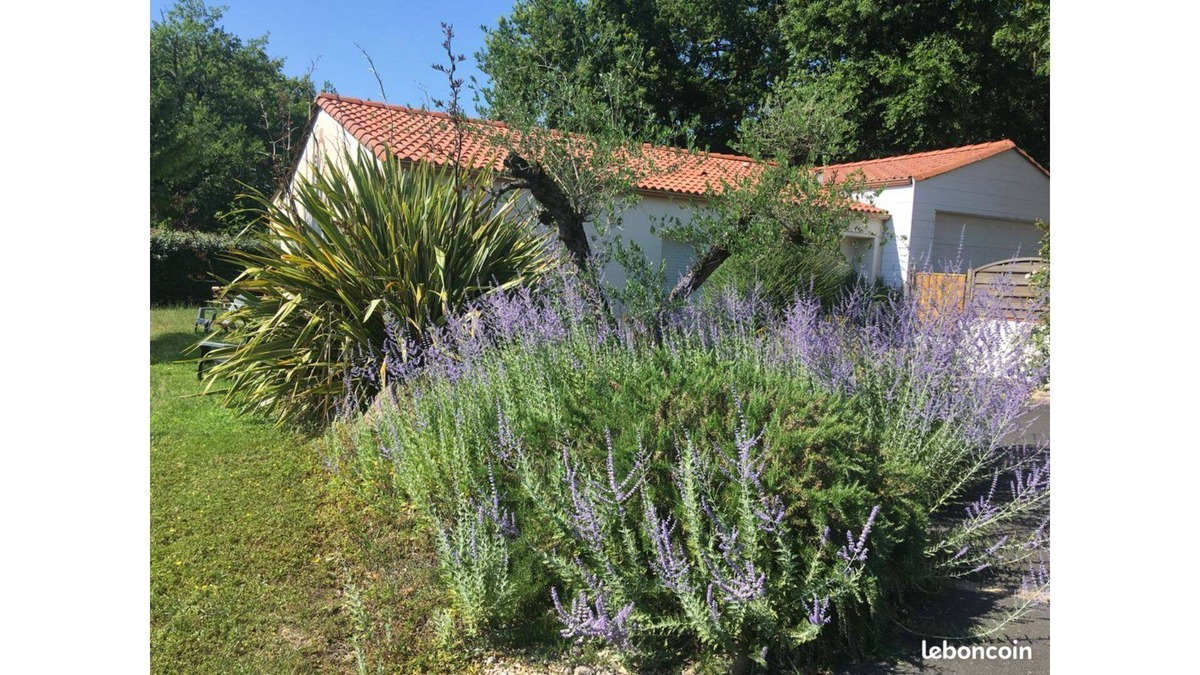 Saint-Georges-de-Montaigu House | Gite de la Liniere in Saint-Georges de Montaigu, Montaigu-Vendée