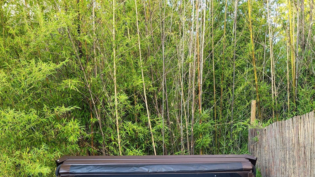 Montricoux House | Gite de Montricoux - Large detached House with enclosed Garden