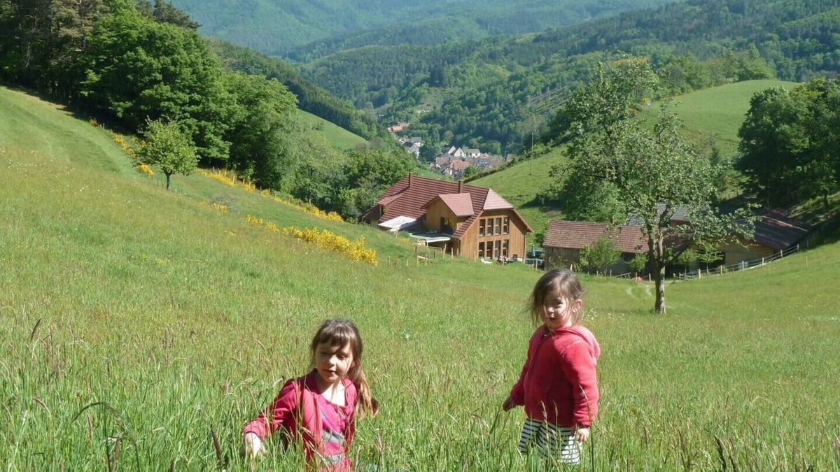 Rombach-le-Franc Other | Gite de Pierreusegoutte A et B