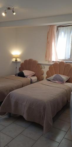 Ameugny House | gite des palmiers