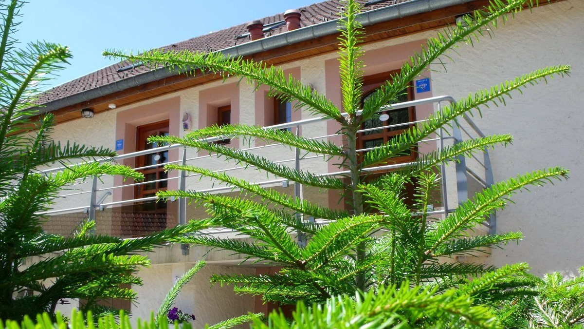 Ferdrupt Apartment | Gite du grébiay 2 à 6 pers