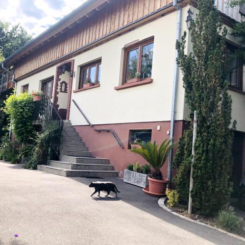 Bischwiller House | Gite du Ried