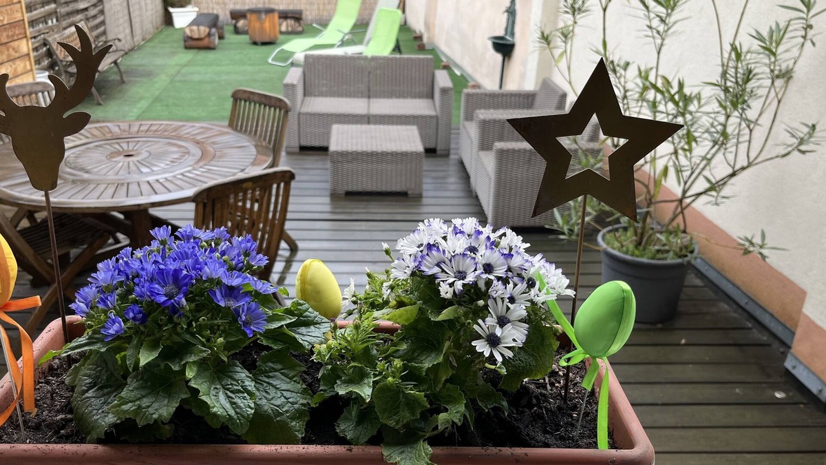 Eguisheim Apartment | Gite Edelweiss with terrace and parking in the heart of Eguisheim, 10km from Colmar