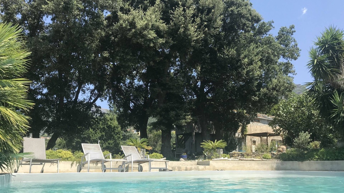 Patrimonio Apartment | Gîte for 2 in St Florent Patrimonio with swimming pool, malocationencorse