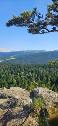Chalmazel-Jeansagniere House | Gite Grand Confort en pleine nature - Le Perchoir de l'Olme