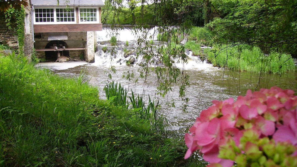 Saint-Romain-et-Saint-Clement Cottage | Gite in a mill overlooking the river surrounded by greenery