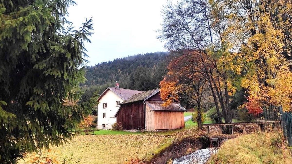 Le Val-d'Ajol House | Gîte in the countryside at the foot of a hiking trail