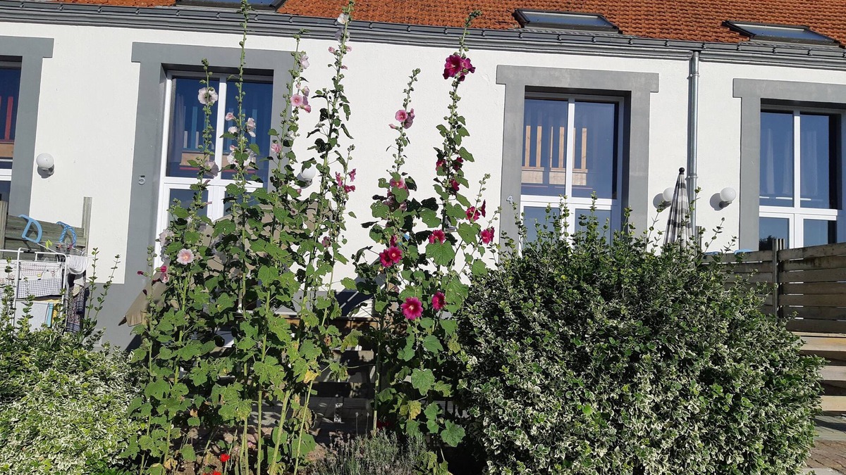 Sallertaine House | Gite in the heart of an artisan village - marsh views - near ocean