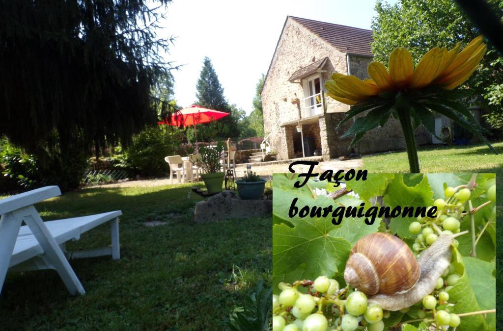 Magny House | Gite "La Méluzine" au bord de la rivière, Avallon, Vézelay, Morvan