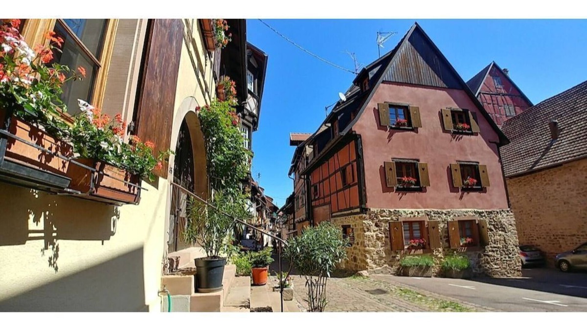 Eguisheim Apartment | Gite Le Bretzel in the heart of the historic center