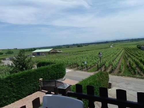 Bennwihr Apartment | Gite "le vignoble " 2 pers coté vignes