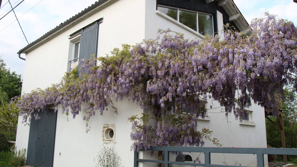 La Greve-sur-Mignon House | Gite marais poitevin, loft style