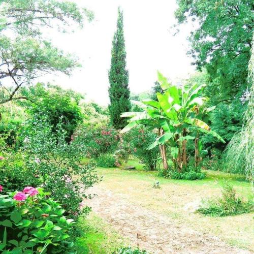 Buanes Apartment | Gite Matilon, 5 min Eugénie les Bains