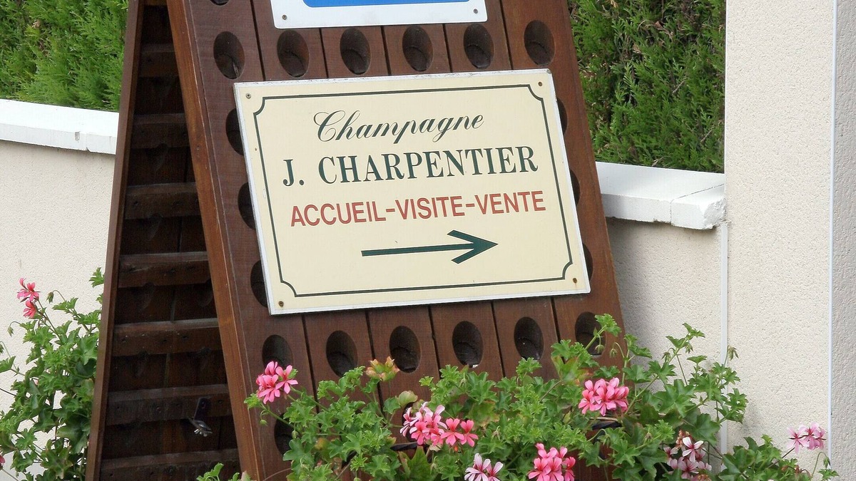Villers-sous-Chatillon Apartment | Gîte "Pinots" in the heart of the Champagne vineyards