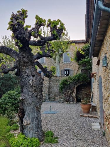 Boisset-et-Gaujac House | Gite proche de la Bambouseraie