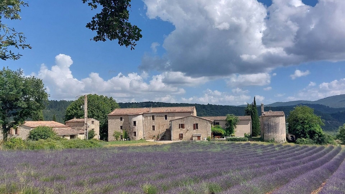 Viens Apartment | GITE PROVENCAL AVEC PISCINE "LE COSY LUBERON"