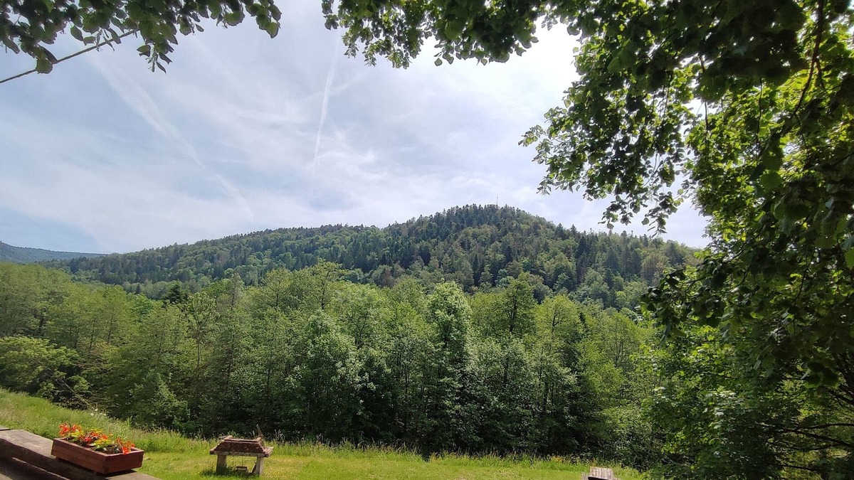 Miellin Apartment | Gite standing Vosges du Sud and plateau of a thousand ponds