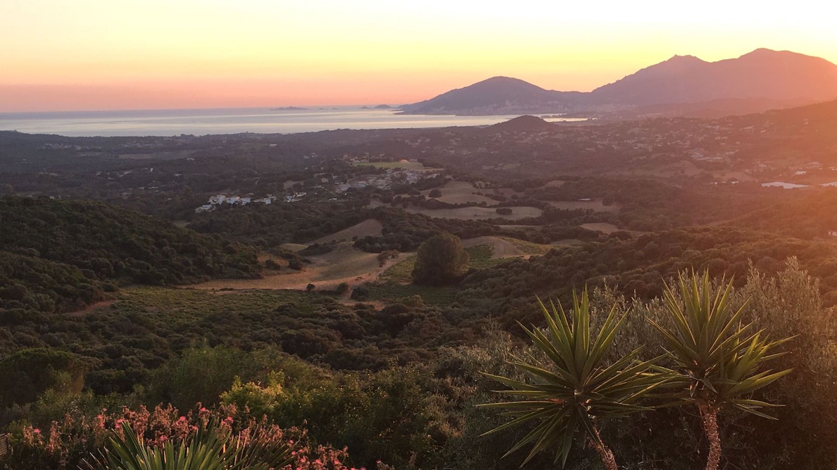 Eccica-Suarella Ski Chalet | Gite T3, new, breathtaking sea view, swimming pool, near Porticcio