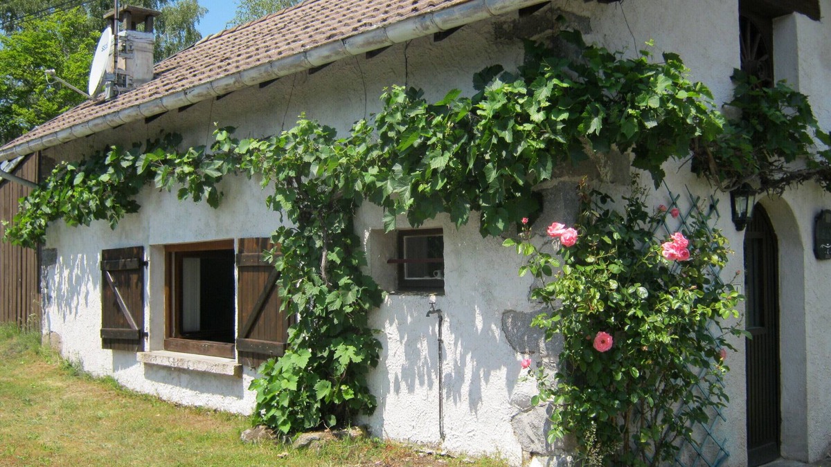 Basse-sur-le-Rupt House | Gîte with lovely mountain views
