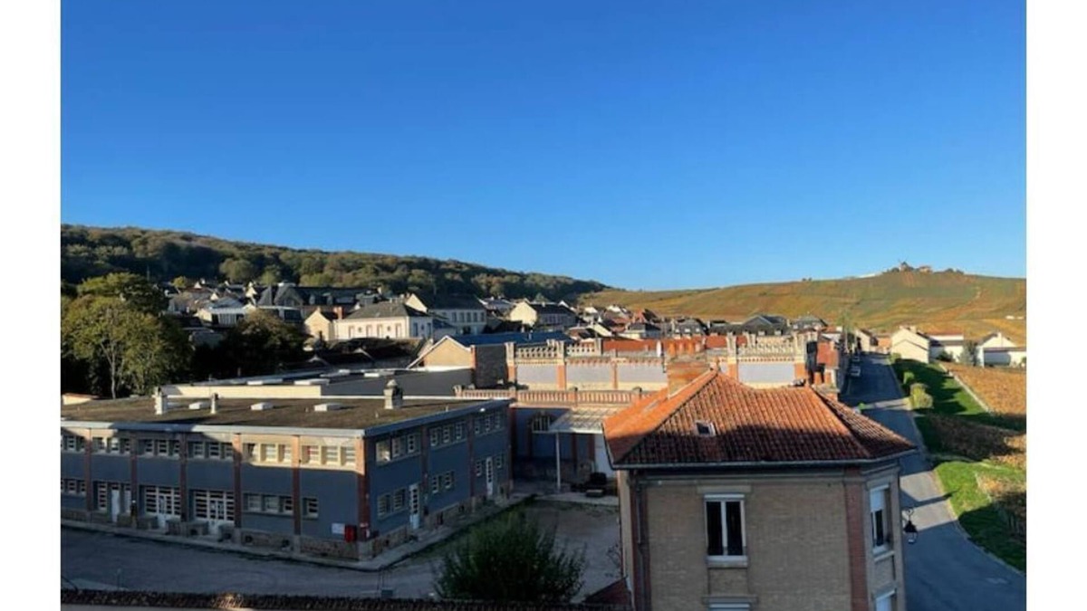 Verzenay House | Gite with vineyard view for 6 people.