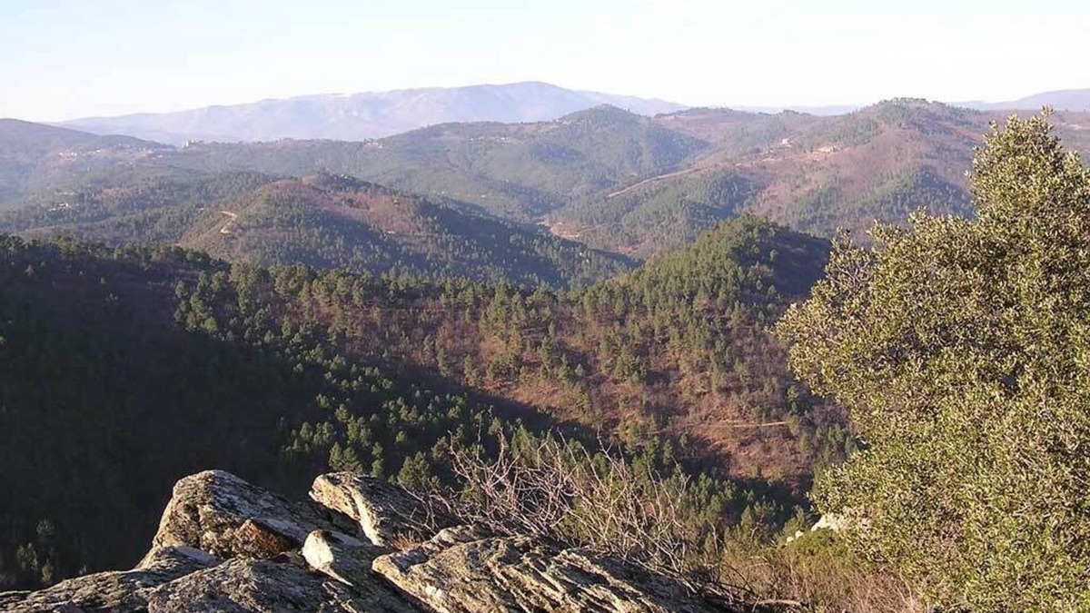 Le Martinet Apartment | Gites in Cévennes bed linen/towel rental possible No pets allowed