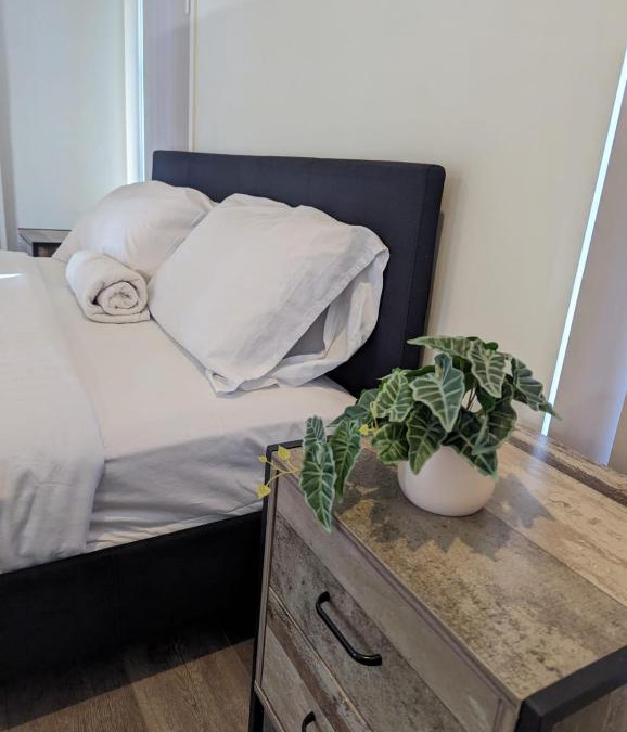 New Auckland House | Gladstone Entire House 4 Beds 2 Baths Air-conditioned in City
