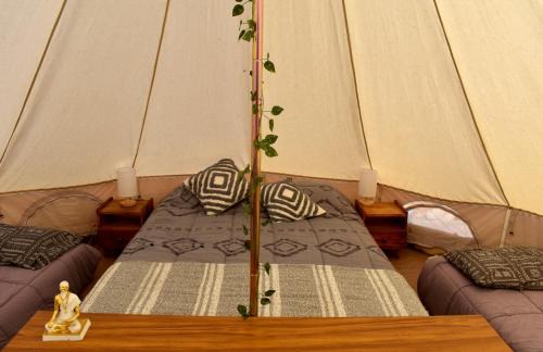 Longavi Other | Glamping Alma de Montaña