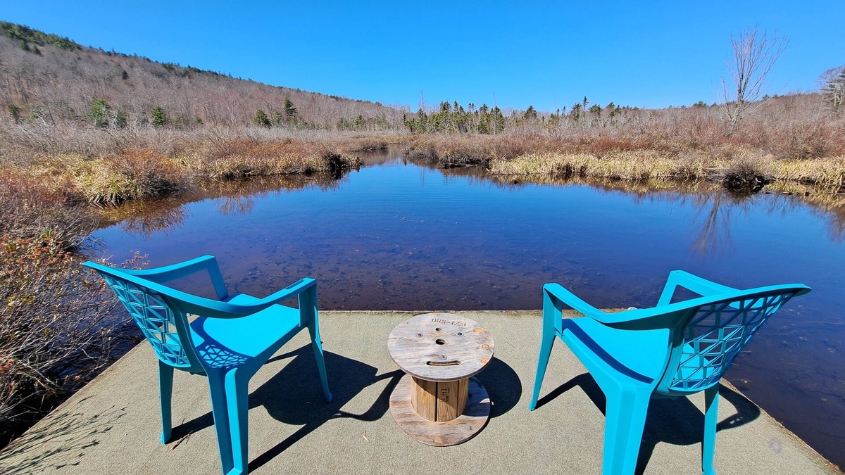 Farmington RV Rental | Glamping in paradise 7 acre pond surrounded by blueberries and forest