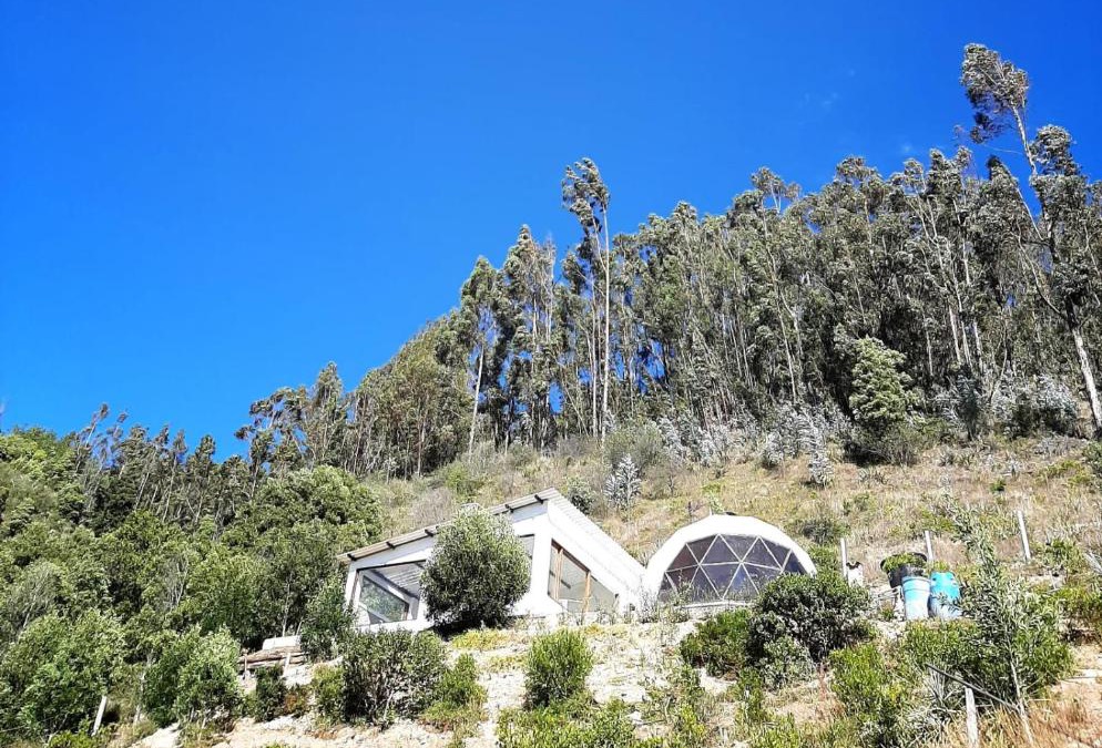 Iza Other | Glamping NIDO VERDE