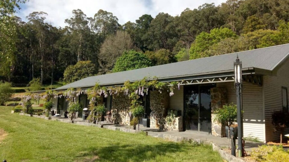 Sassafras Apartment | Glen Elborne-On The LAKE-Platypus/Lyrebirds/Wildlife/Walking Tracks