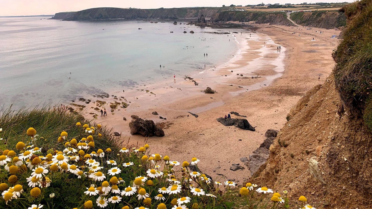 Fethard on Sea Cottage | Glen Gable