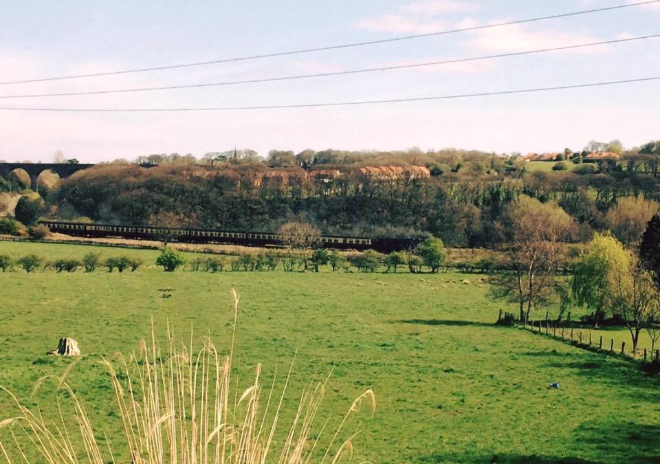 Ruswarp Bed & Breakfast | Glen View B & B