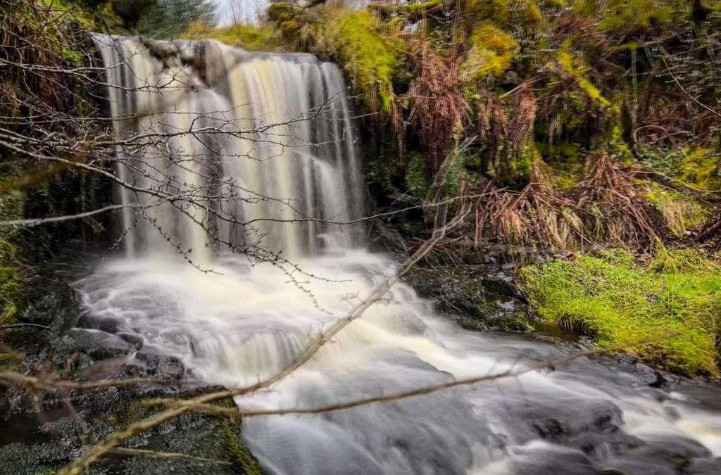 Glenariff Ski Chalet | Glenariff Forest Getaway