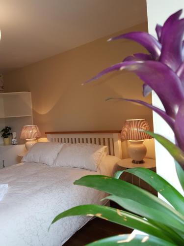 Castlemartyr Apartment | Glenbower House